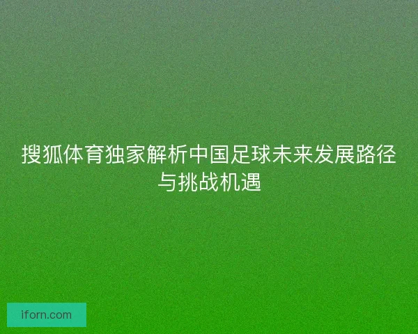 搜狐体育独家解析中国足球未来发展路径与挑战机遇